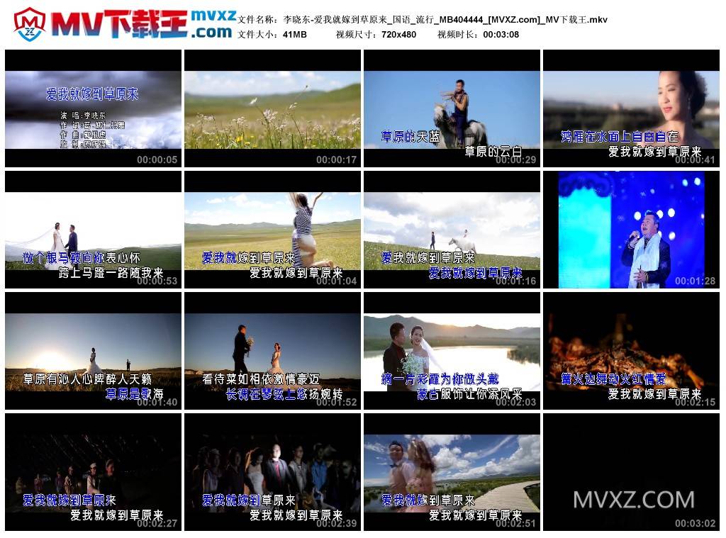 李晓东-爱我就嫁到草原来_国语_流行_MB404444